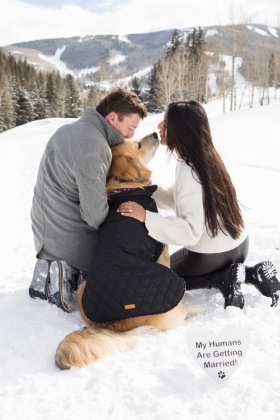 Snow Shoe Proposal Starring the Couple's  Dog , Beaver Creek